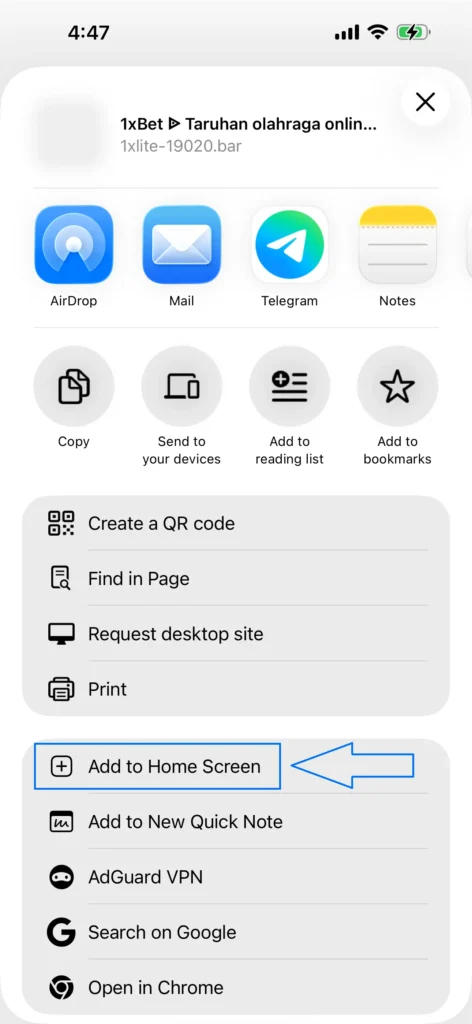 Dari daftar tersebut, Anda hanya perlu memilih satu opsi - Add to Home Screen.
